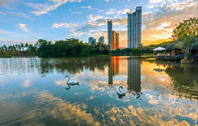 Chất keo gắn kết, “chữa lành” cuộc sống tại Ecopark